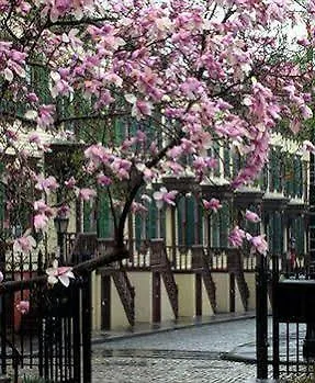 The Sylvan Guest House New York